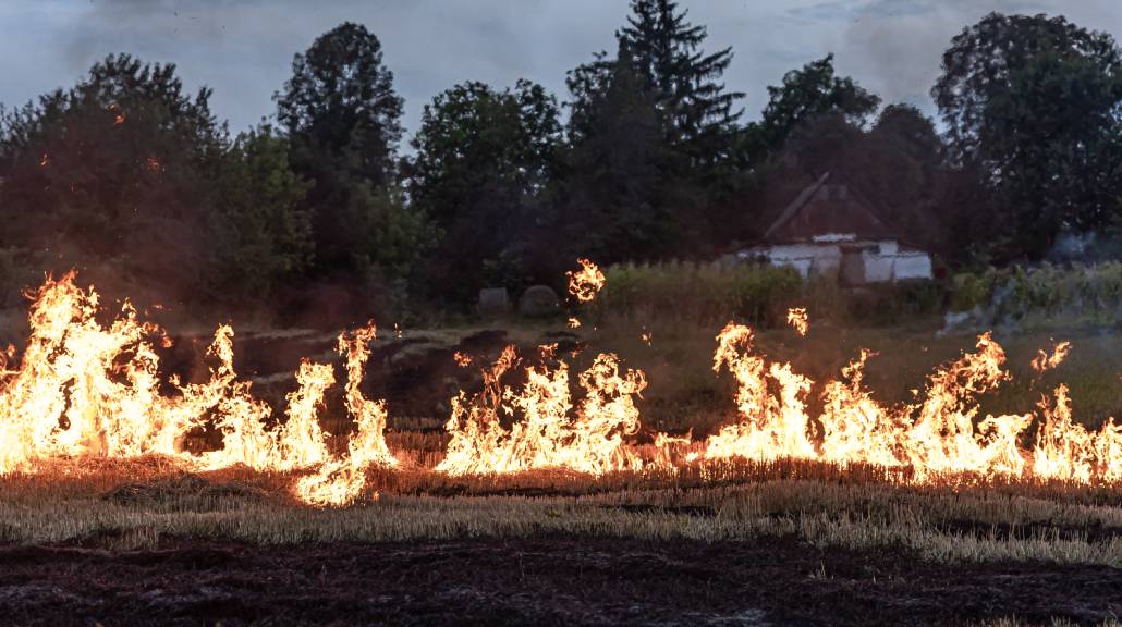 Kebakaran Hutan Landa California, 10 Ribu Orang Dievakuasi